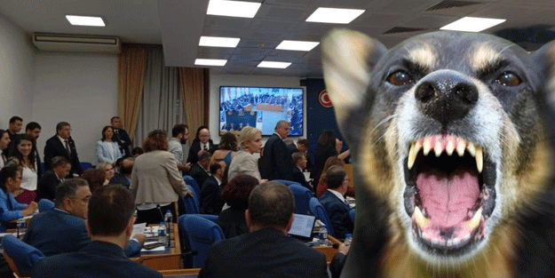 Komisyonda görüşmelerde yine gerginlik! Köpekler dışarıda CHP'liler içeride durmuyor