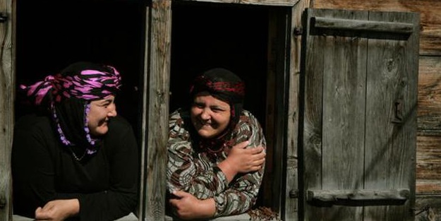 Komşu hakları