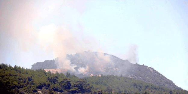 Komşu ülkede orman yangını! Ekipler müdahale ediyor