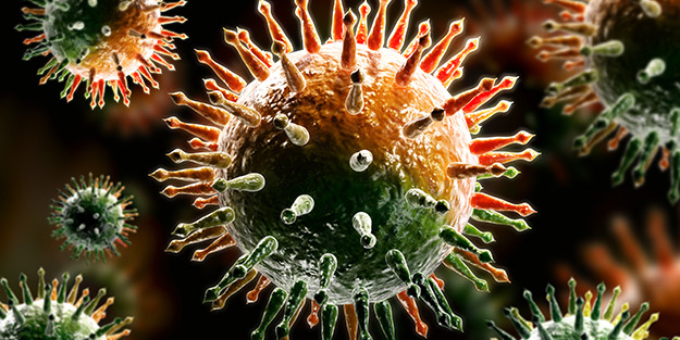 Komşuda domuz gribi patlak verdi! Çok sayıda kişi hayatını kaybetti