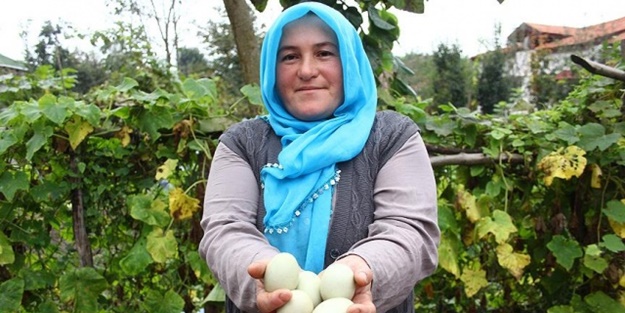 Komşudan ödünç aldı, şimdi satmaya yetişemiyor