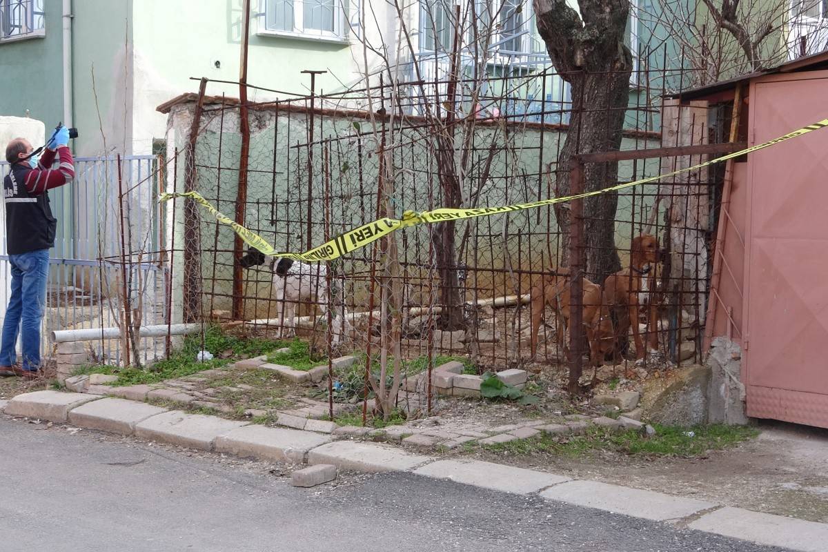 Komşuların köpek kavgasında kan aktı; 1 ağır yaralı