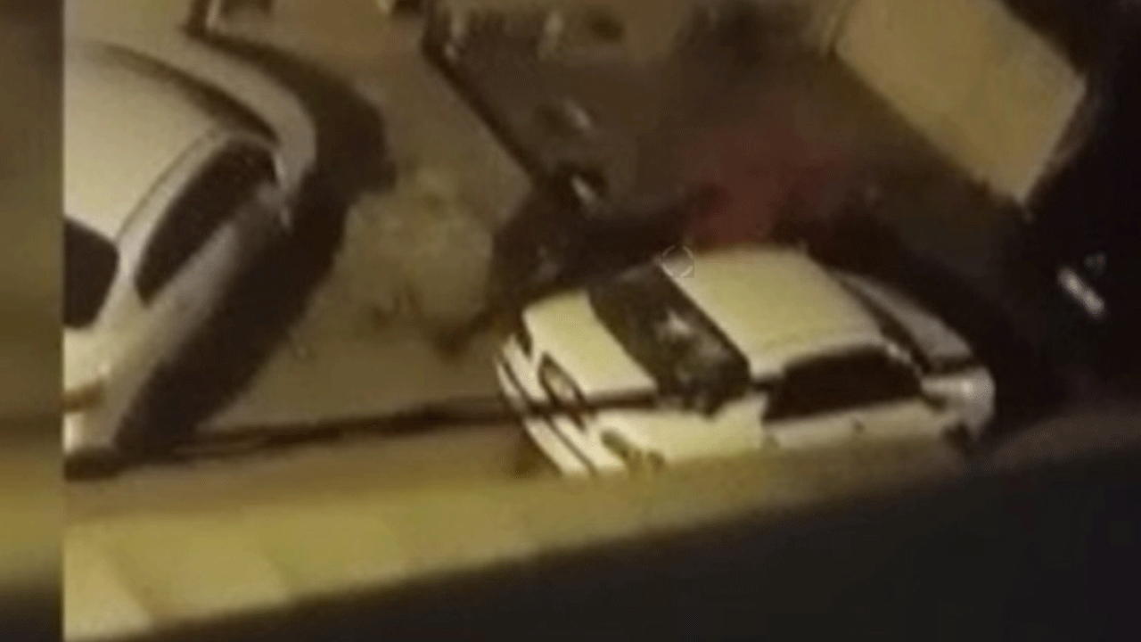 Komşusunun yaptığı çıldırttı! İntikamını böyle aldı!