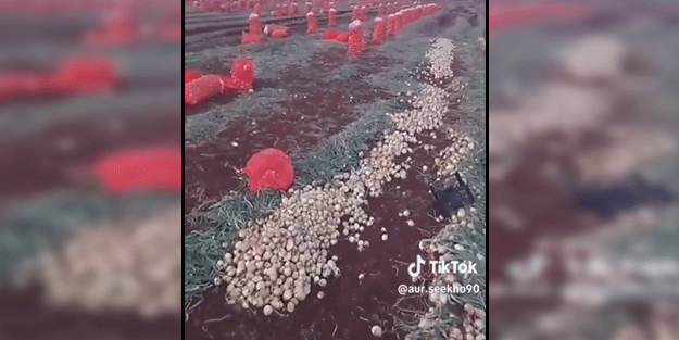 Komünist olduğunu ifade eden vatandaş soğan oyununu yerinde deşifre etti!
