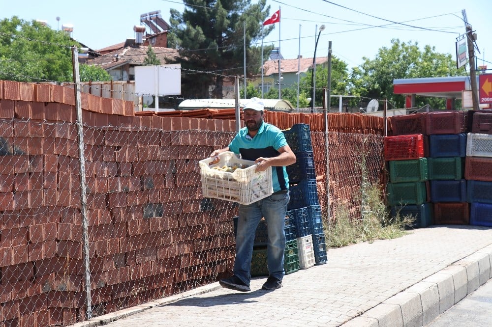 Konsantre kayısıda fiyat 90 kuruş oldu 