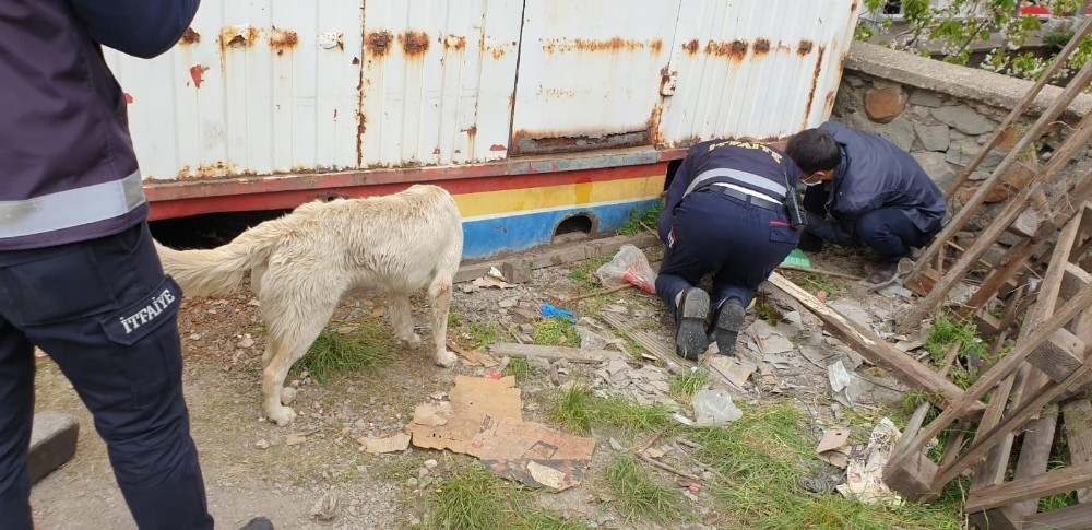 Konteyner altına sıkışan yavru köpeği itfaiye ekibi kurtardı 