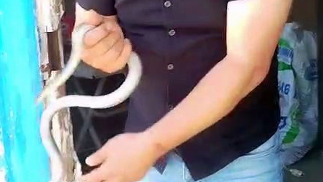 Konteynere kimse giremedi, o elleriyle yakaladı! ‘Yılancı Kemal’ yine iş başında