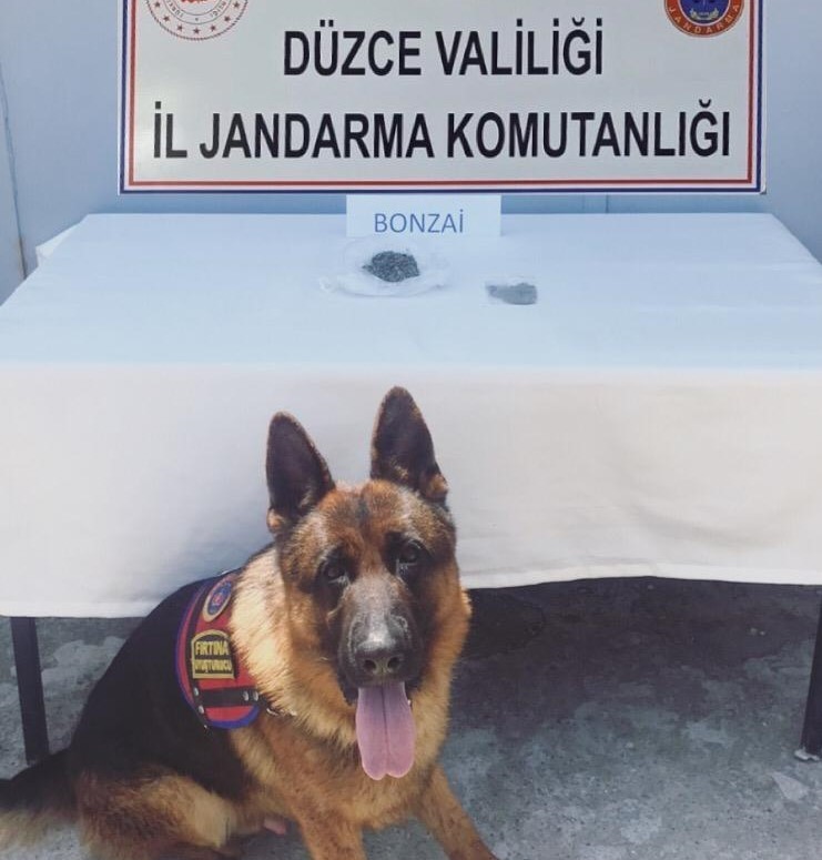 Kontrol edilen yolcunun ayakkabısının altındaki uyuşturucuyu dedektör köpeği buldu 