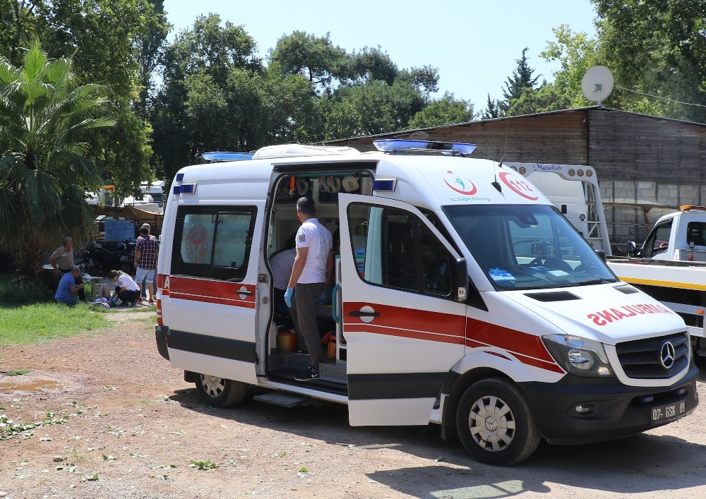 Kontrolden çıkan kamyonet takla attı: 2 yaralı 