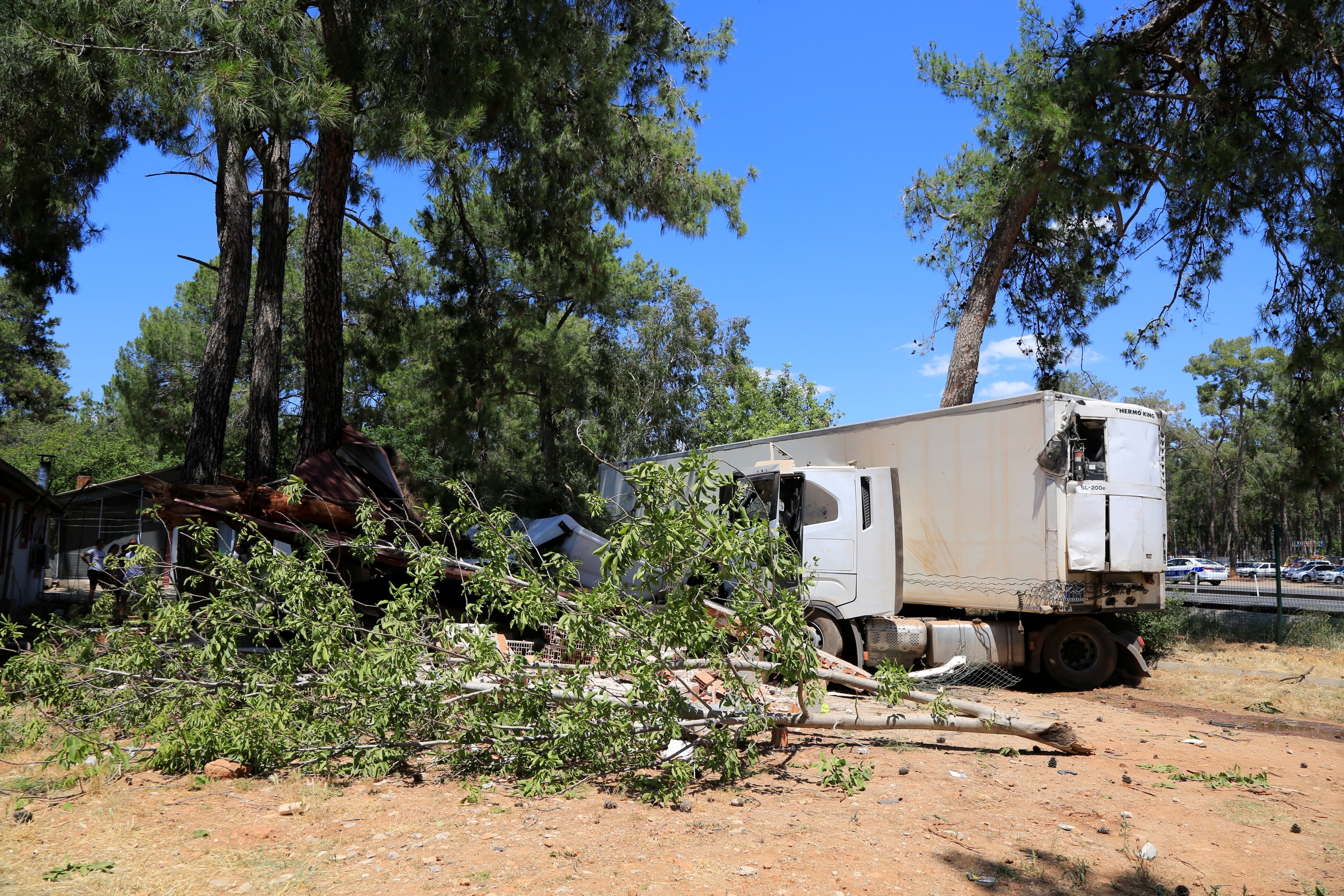 Kontrolden çıkan tır, çam ağacına ve depoya çarparak durabildi: 1 yaralı