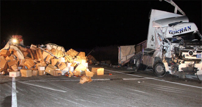 Kontrolden çıkan TIR devrildi, 20 kilometrelik kuyruk oluştu!