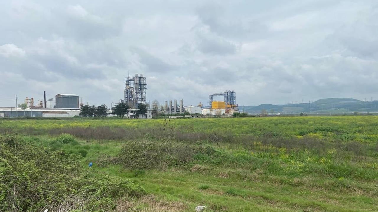 Konu istemezükçülük olunca can ciğer oldular! Sahte solcularla sahte milliyetçilerin dayanışması