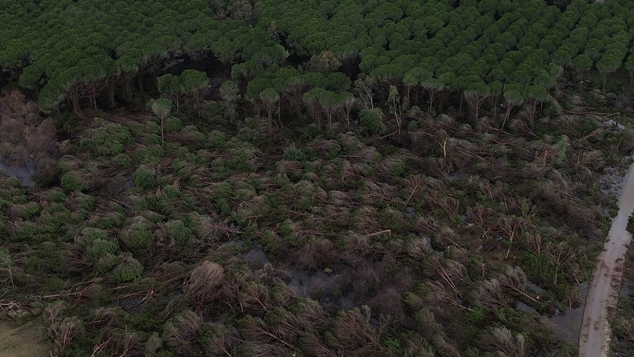 Konum: Antalya... Hortum ormanı yıktı geçti