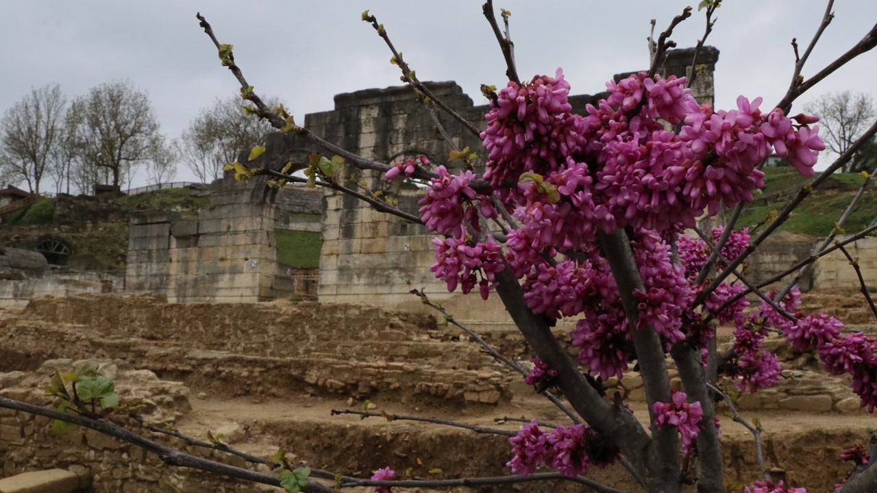 Konuralp Antik Tiyatrosu’nda bahar güzelliği