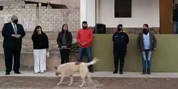 Konuşma yapan belediye başkanının üzerine köpek işedi