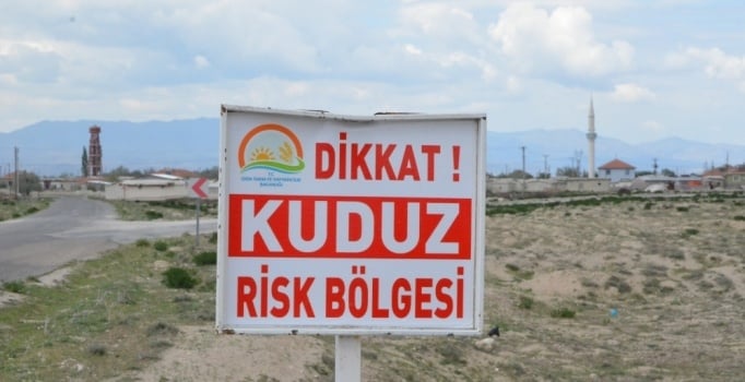 Konya Ereğli'de 'kuduz' paniği
