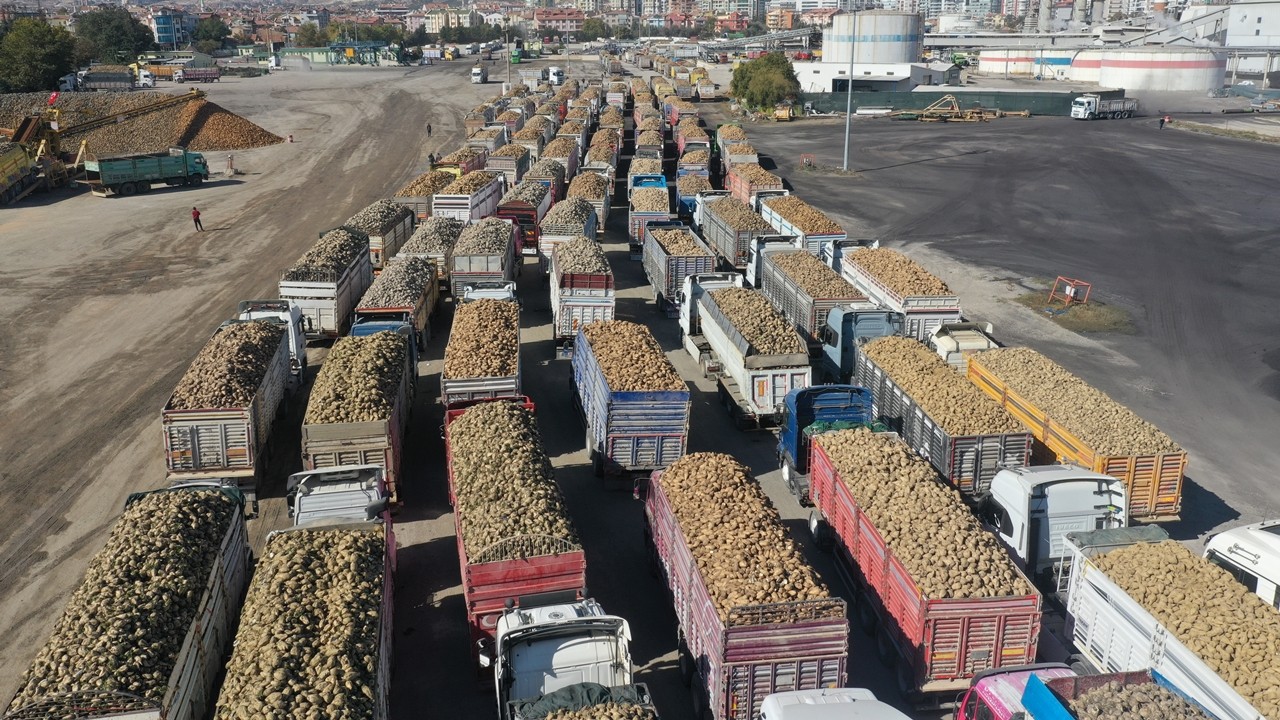 Konya Şeker 6 milyar 272 milyon 595 bin TL pancar bedeli ödemesi yapıyor