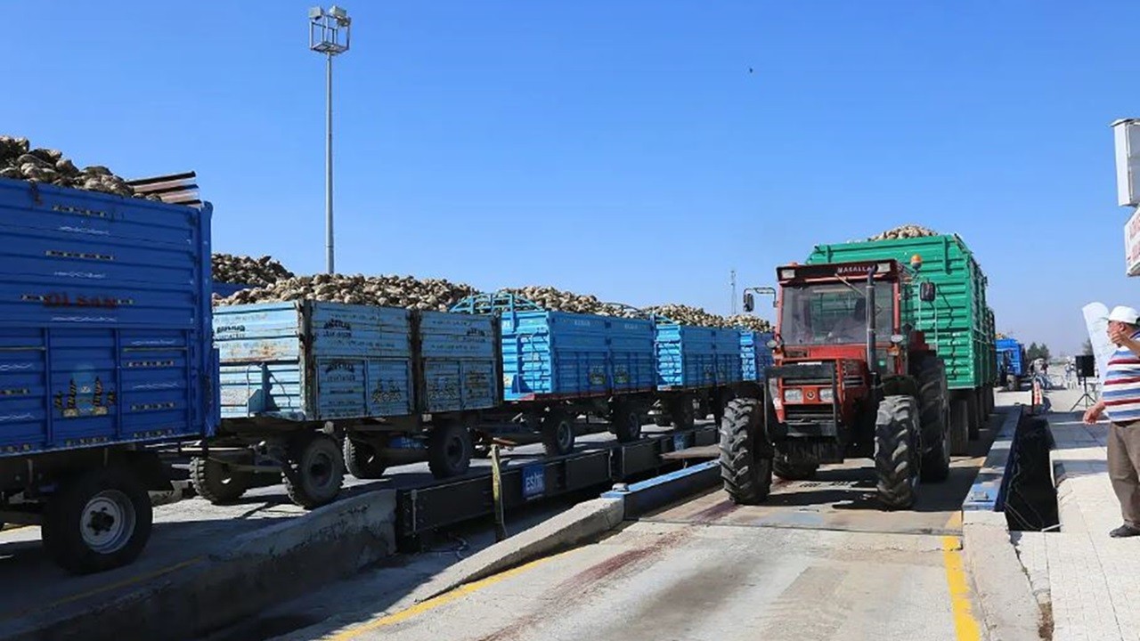 Konya Şeker ve Çumra Şeker Fabrikasında pancar alım kampanyası başladı