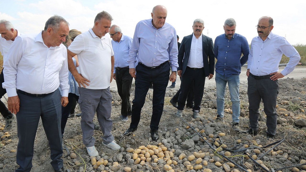 Konya Şeker’den büyük hamle! Yerli patates tohumu 2027’de piyasada