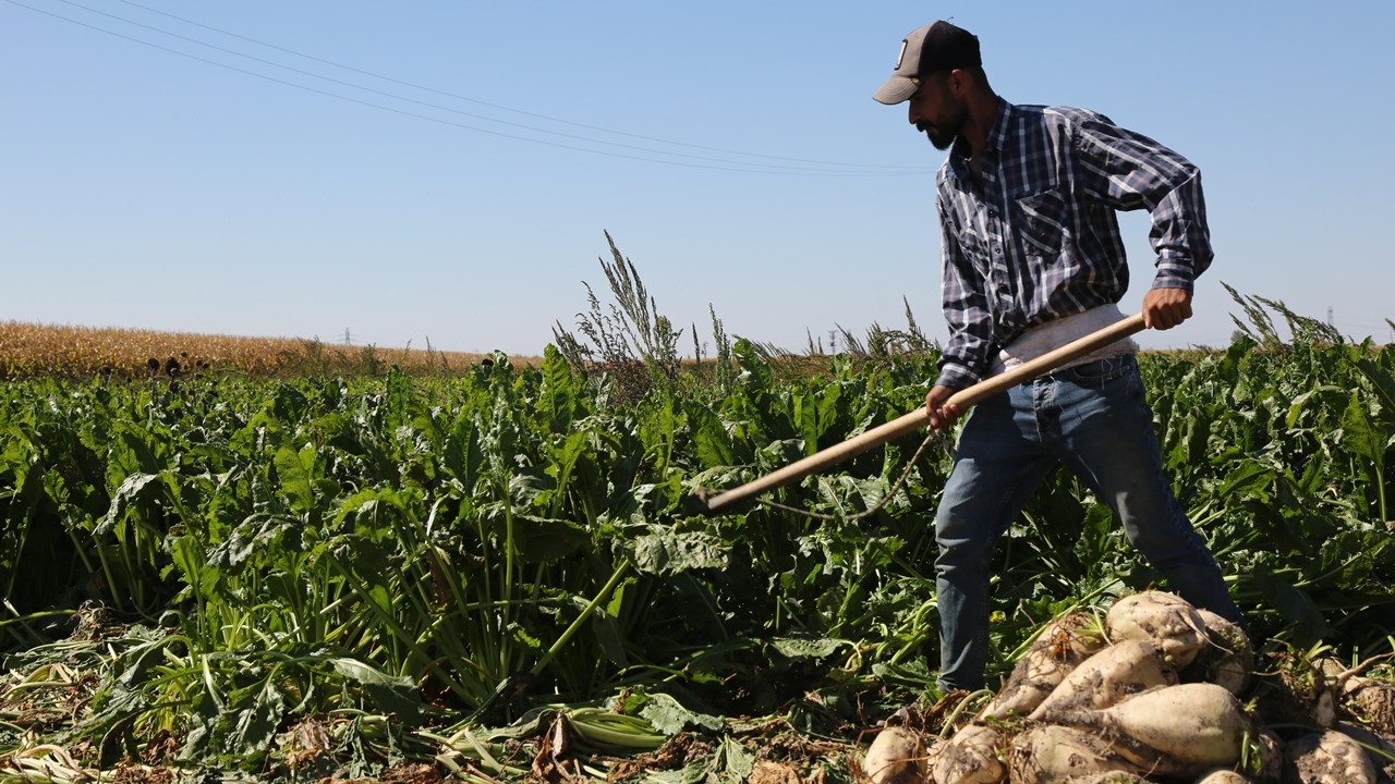 Konya Şeker'den çiftçisine çifte avans