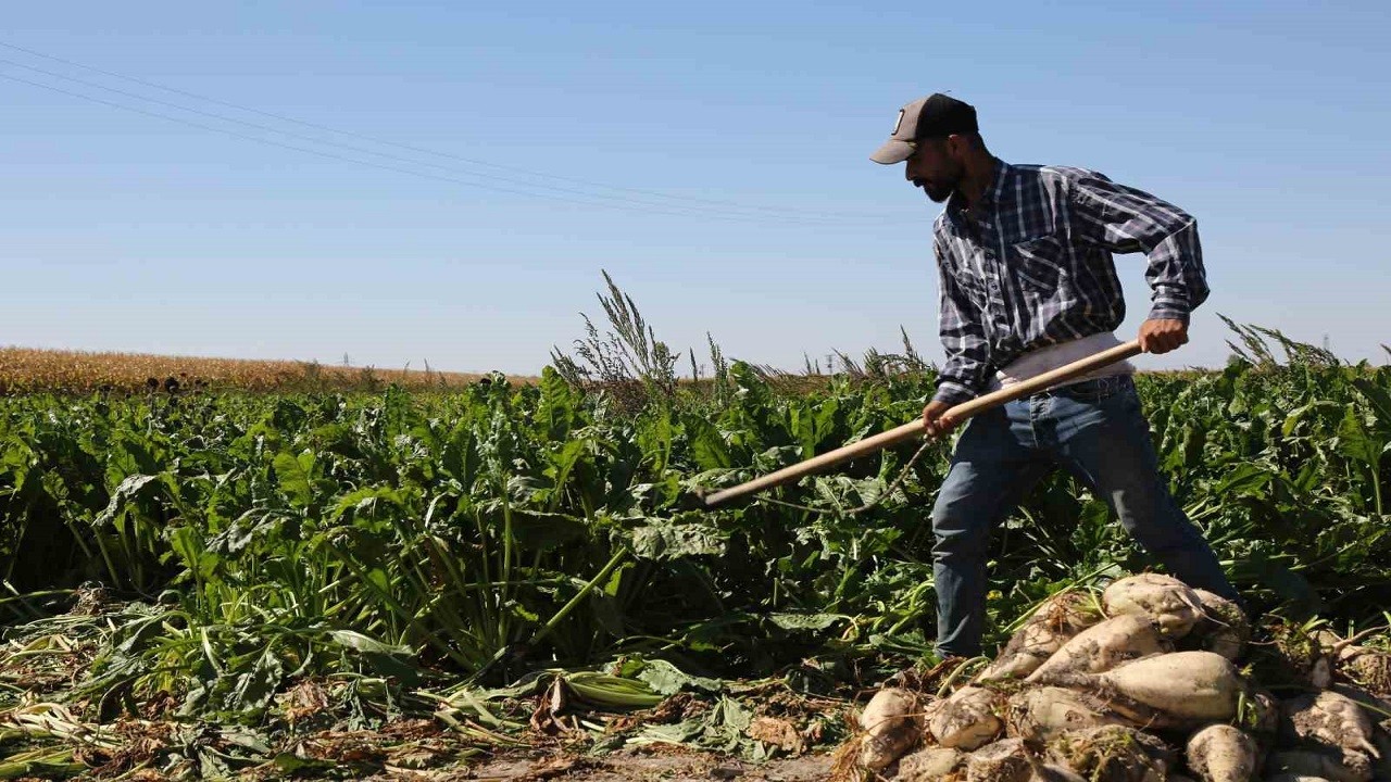 Konya Şeker’den çiftçiye çifte avans