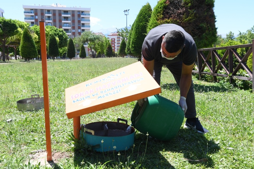 Konyaaltı, sokak hayvanlarına 5 ton mama ulaştırdı 