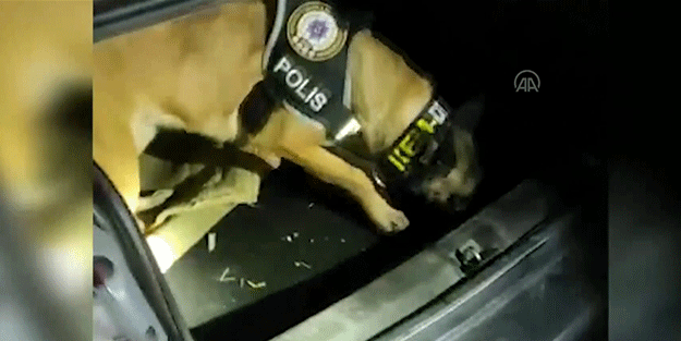 Konya'da 200 bin uyuşturucu hapın ele geçirildiği operasyonda 4 zanlı tutuklandı