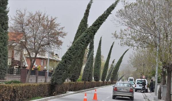 Konya’da okullar tatil mi yarın? 30 Kasım Salı Konya'da okul var mı?