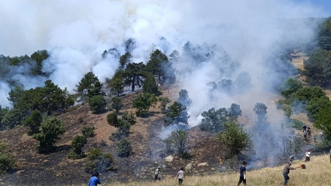 Konya'da orman yangını