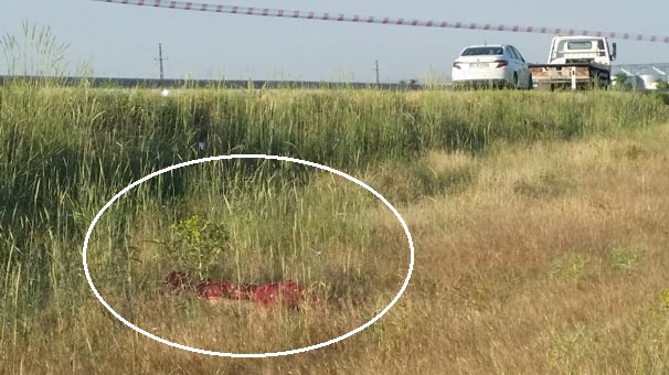 Konya’da sabah saatlerinde yol kenarında dehşeti gördüler!