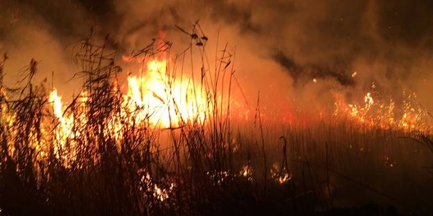 Konya'da sazlık yangını