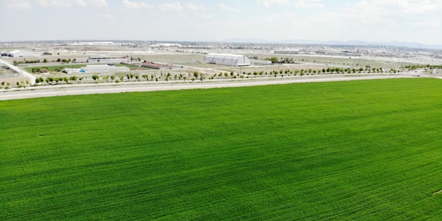Konya’da yağışlar tarımın verimini arrtırdı