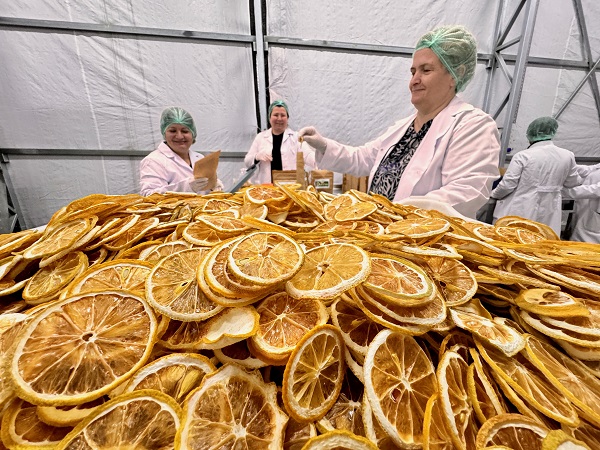 Kooperatif çatısı altında güçlerini birleştirdiler