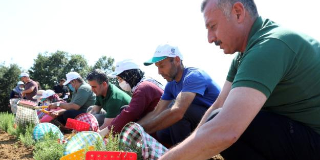 Kooperatif ve birliklere hibe desteği
