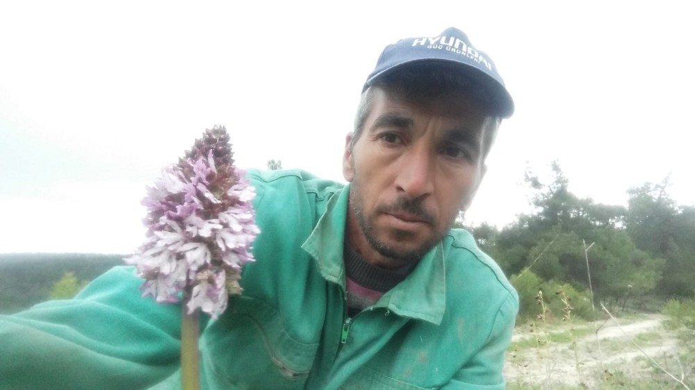 Koparmanın cezası 72 bin lira olan bitkiyle selfie 