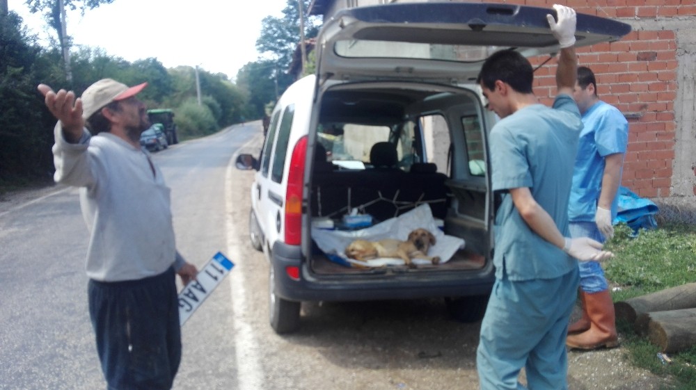 Köpeğe çarpıp kaçtı 