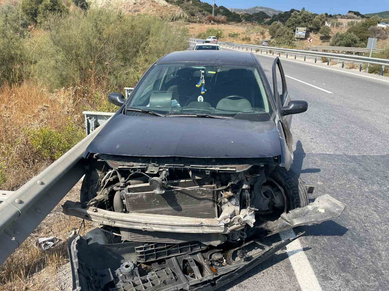 Köpeğe çarpmamak için kendi canını tehlikeye attı!