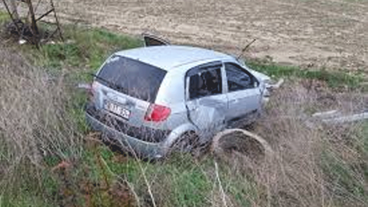 Köpeğe çarptı, tarlaya uçtu! Kazada sürücü yaralandı