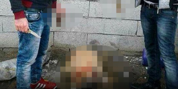 Köpeğe işkence eden zanlılar yakalandı!