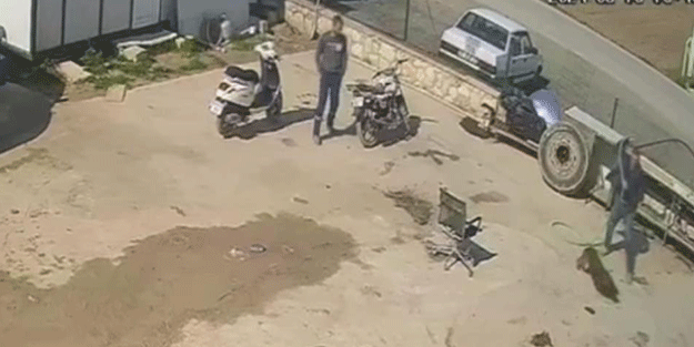 Köpeğe işkence kamerada!