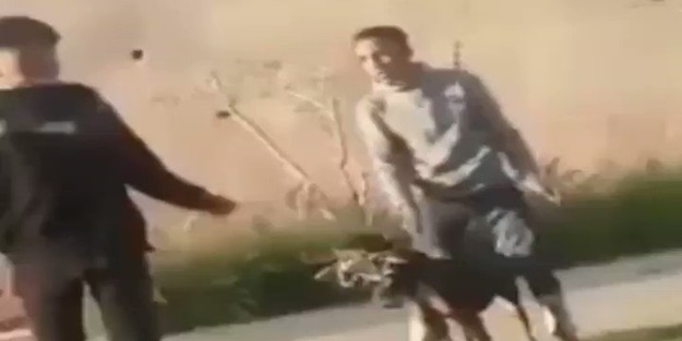 Köpeğe işkencenin sonu kötü bitti!