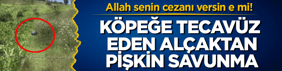 Köpeğe tecavüz eden alçaktan iğrenç savunma