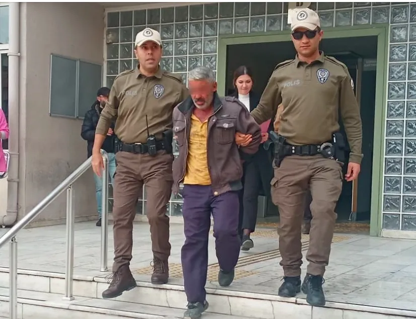 Köpeğe tecavüz ederken yakalandı! İfadesini duyan insanlığından utandı