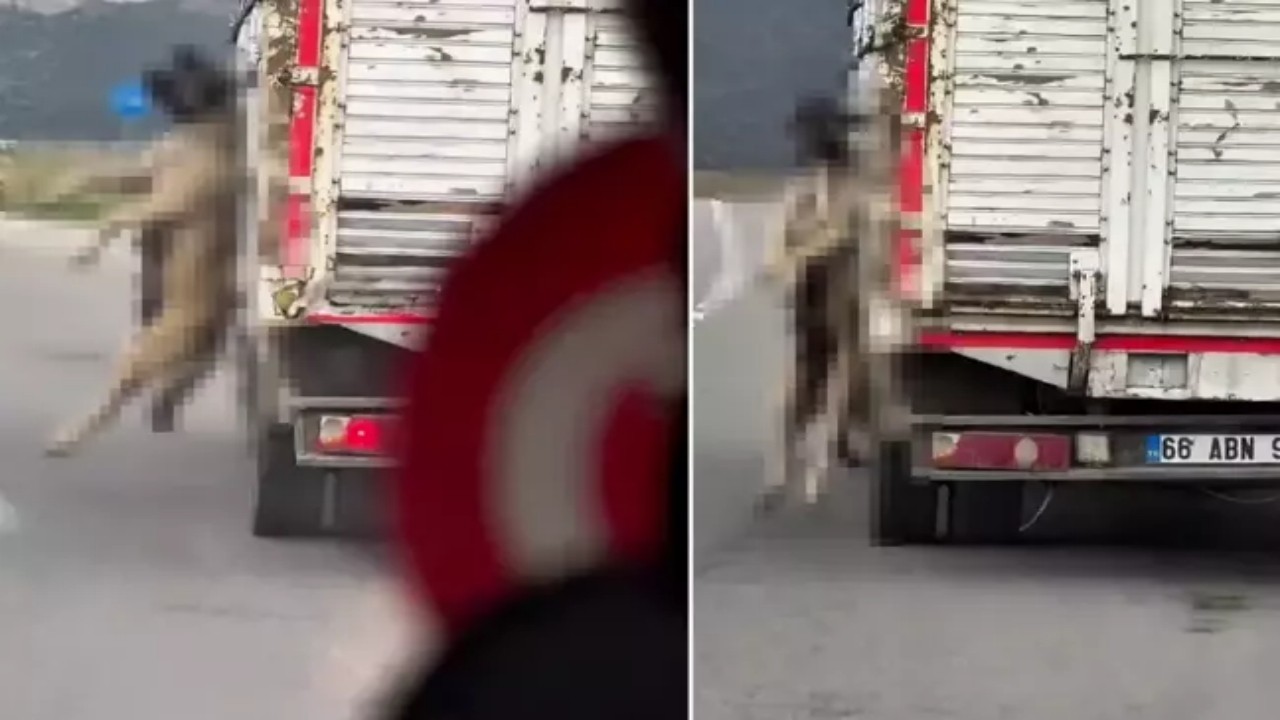 Köpeği boynundan kamyona astı, öyle iğrençlikler yaptı ki, “Allah seni kahretsin” dedirtti