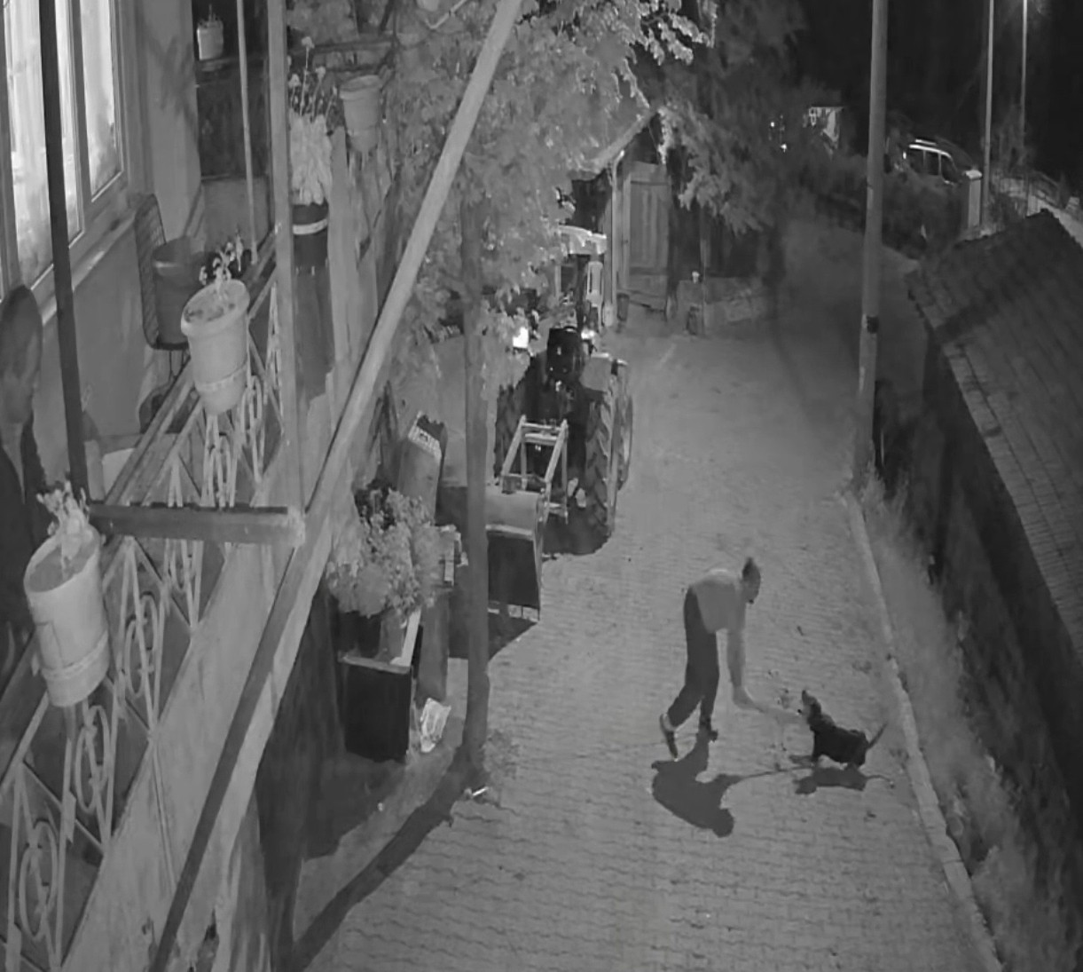 Köpeği demir sopayla öldürdü; o anlar kamerada