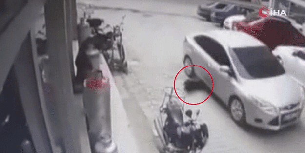 Köpeği ezdi, yoluna devam etti