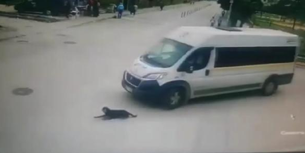 Köpeği ezen cani sürücüye para cezası