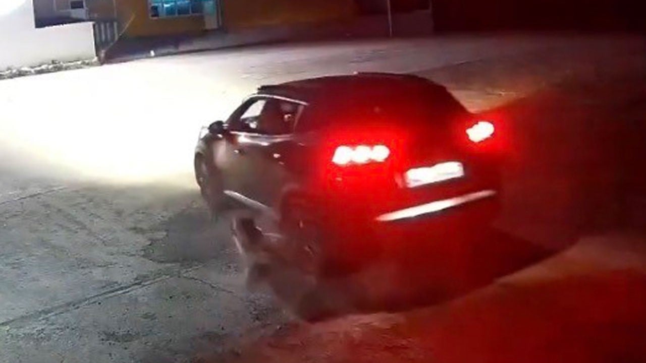 Köpeği ezip aracıyla üzerinde bekledi! Valilik vicdansızın peşine düştü