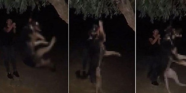 Köpeği iple ağaca asarak öldüren cani yakalandı