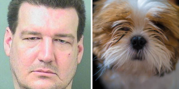 Köpeği ısıran adama hapis cezası!